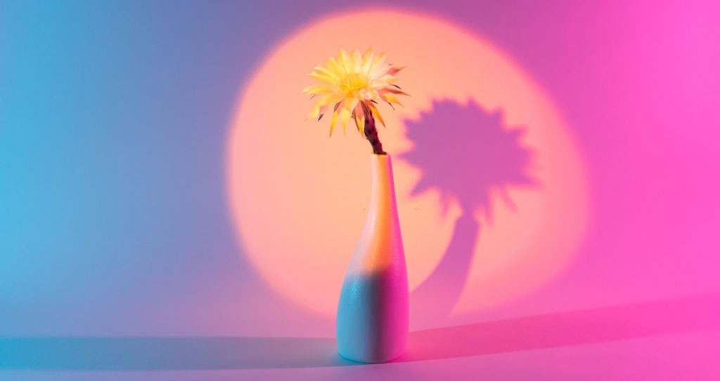 ویژگیهای افراد کاریزماتیک چیست؟