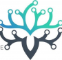 رویاپردازان مبین