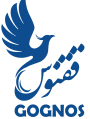 فرصت اشتغال در کاوش داده ققنوس