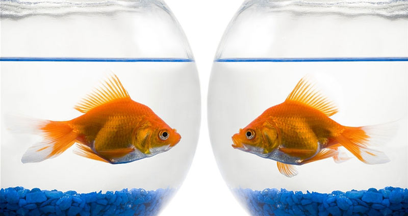 مکالمه با افراد - اصول مدیریت تغییر