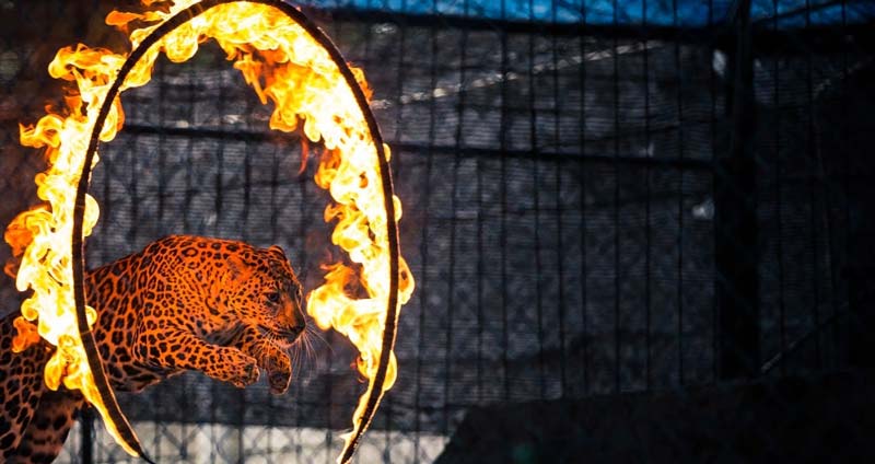 چگونه با یک مشکل واقعی مواجه شویم