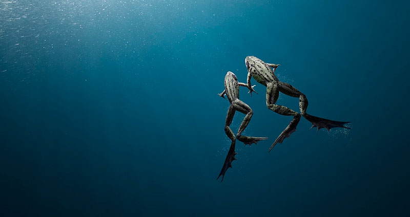 آیا شغل دوستتان، همان شغل رویایی شماست