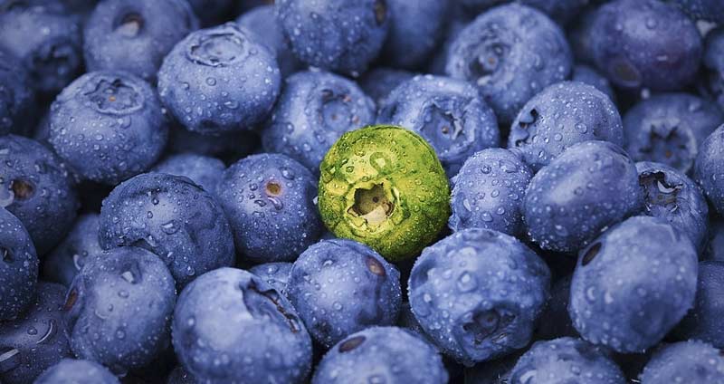 تفاوت تجزیه و تحلیل تاثیر کسب و کار با ارزیابی ریسک