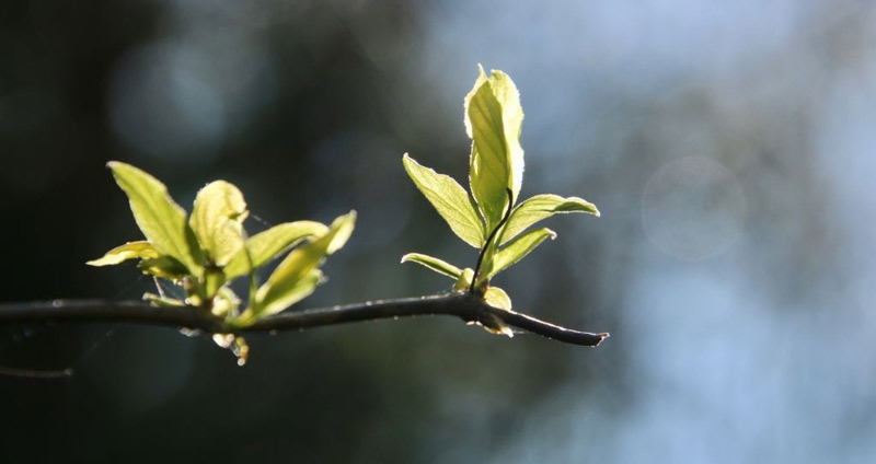 شخصیت خود را توصیف کنید - اعتمادبهنفس خود را نشان دهید