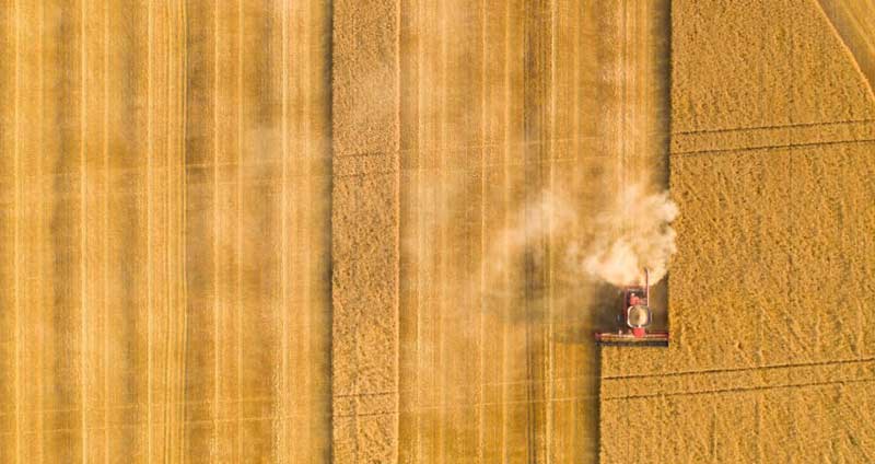 انواع صنایع - صنعت ثانویه