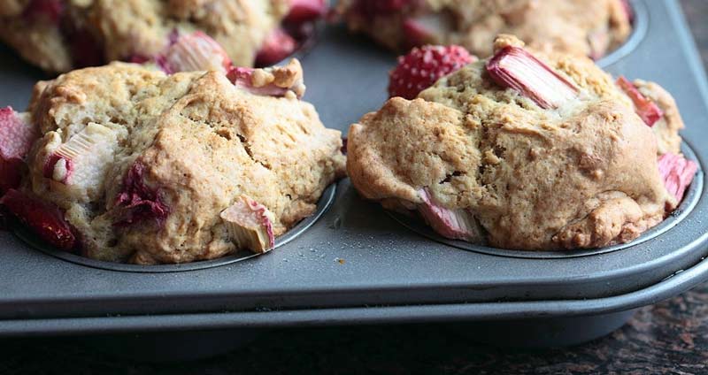 قالب رزومه ترکیبی