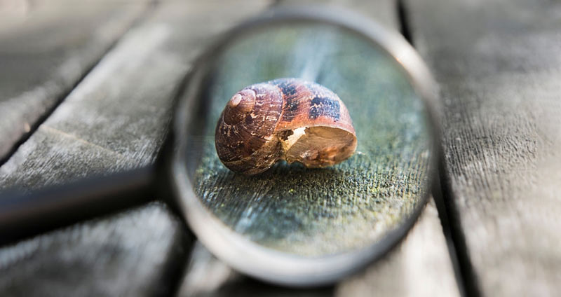 نمونههایی از مهارتهای پژوهشی- مهارت های پژوهشی در رزومه