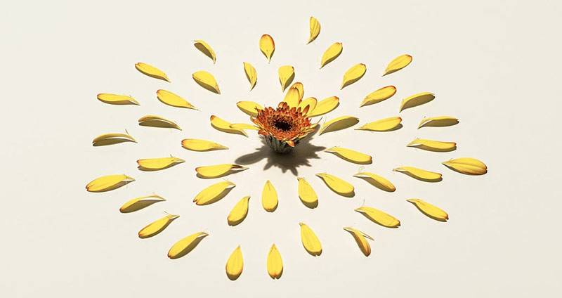 برای اینکه هوشمندانه کار کنید  کمال‌ گرایی را به تعویق بیندازید