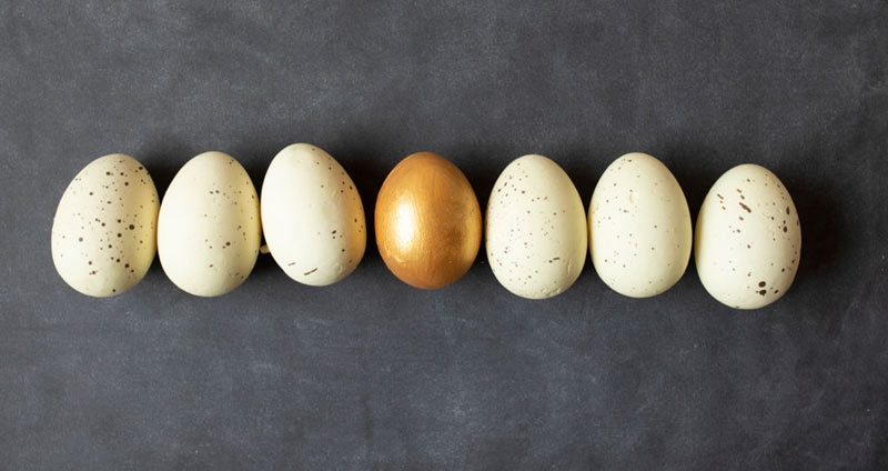 مزایای رهبری کاریزماتیک- رهبری کاریزماتیک