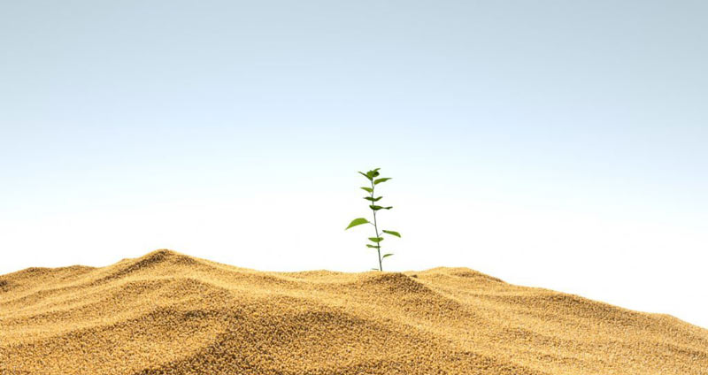 تکنیک های افزایش خلاقیت - برای افزایش خلاقیت باید بر نگرش منفی غلبه کنید