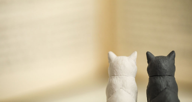 دوستی خواهید داشت- منتور