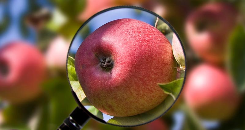 تغذیه سالم در محیط کار- آگاهانه غذا بخورید