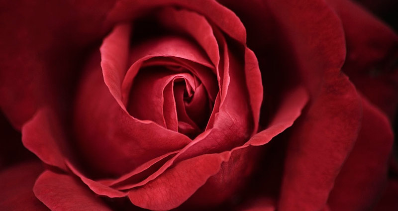 بازاریابی حسی با بویایی