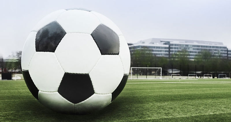 سرتیترها را برجستهتر کنید- انواع رزومه