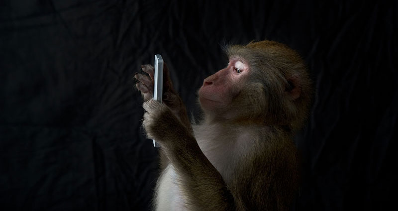 چرا مهارت های شناختی اهميت دارد