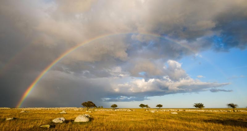 گستره ذهنی خود را بسط دهید - انعطاف پذیری