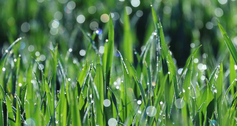 چطور منتور خوبی باشیم