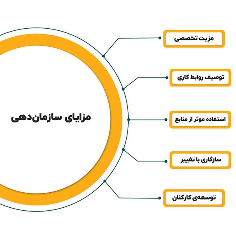 اهمیت سازماندهی