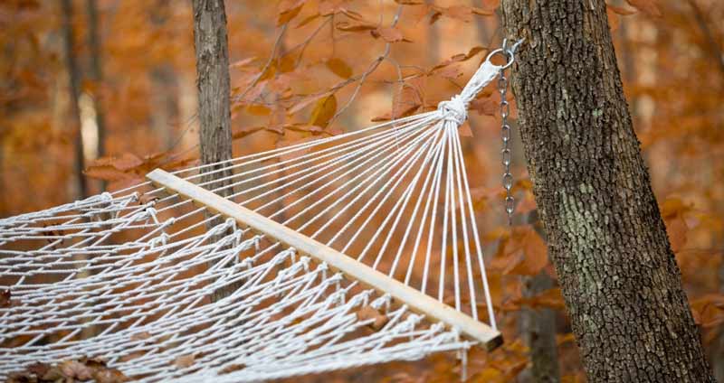 استراحت کنید - انعطاف پذیری