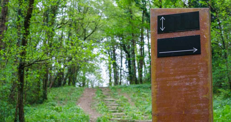 هر سال درمورد مسیر شغلی خود به طور جدی فکر کنید