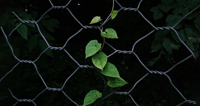 از قبل برای مقاومت برنامه‌ریزی کنید - شکستن محدودیت‌ها در مدیریت تغییر