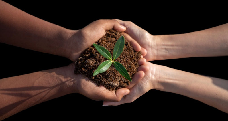 فواید مسئولیت پذیری در کار