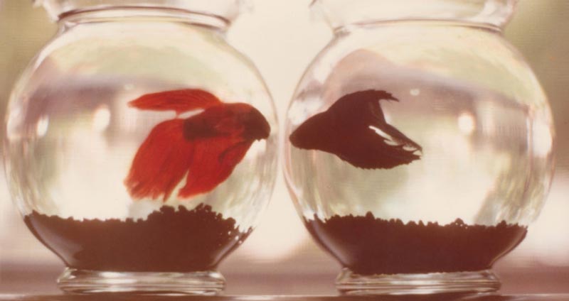 برنامهریزی-و-ارتباط-برقرار-کنید-هماهنگی