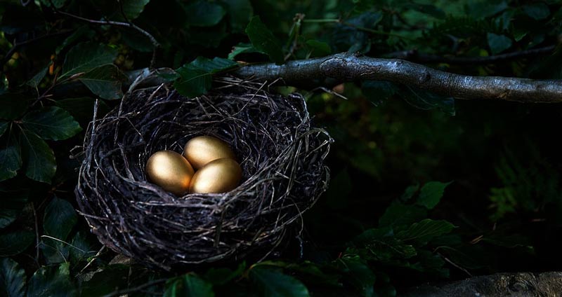 رهبری چشم اندازنگر ارزش اهداف شرکت را بهخوبی درک میکند