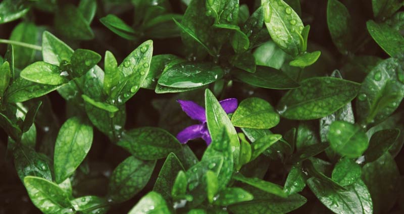 درونگرایی و برونگرایی: خصوصیات افراد درونگرا