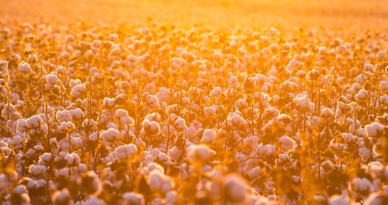 انواع مهارت های نرم