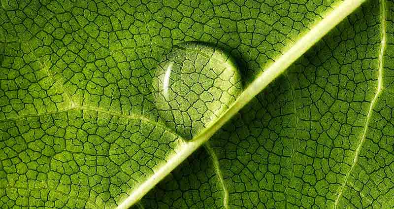 اقدامات مدیران برای جانشین پروری - به جزئیات هر موقعیت توجه کنید