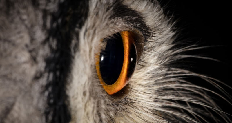 نشان دادن اینکه آگاه هستید