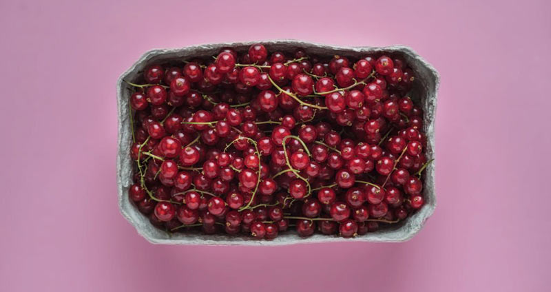 زیرساخت های لازم برای جانشین پروری - نگاهی کامل به استعداد‌های درونی بیاندازید