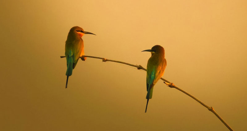 تاثیرگذارترین راه ارتباطی شما همچنان ارتباط چهره به چهره است