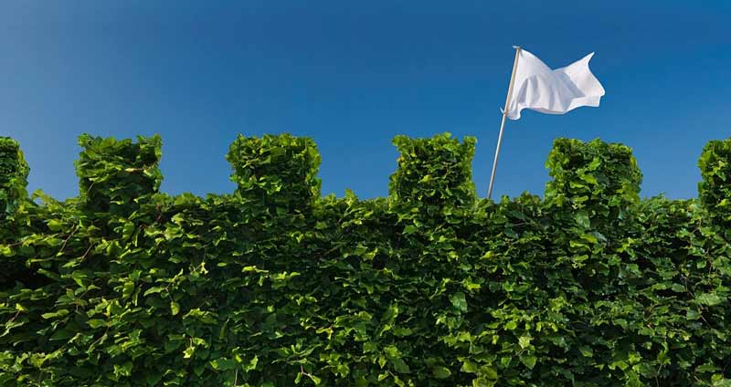 صلح را حفظ می‌کنید- اعتماد به نفس