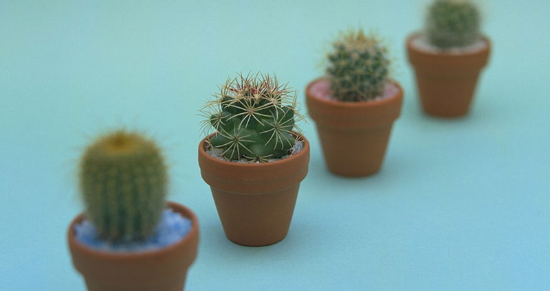 مشاغل مشابه مدل های پیش بینی