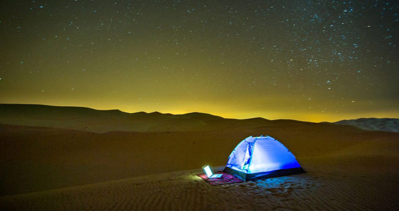 انواع زندگی شغلی - فریلنسر کیست؟