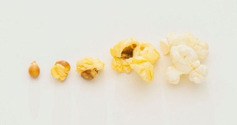 چگونه بنچ مارک و بنچ مارکینگ را در کسبوکار خود توسعه دهیم