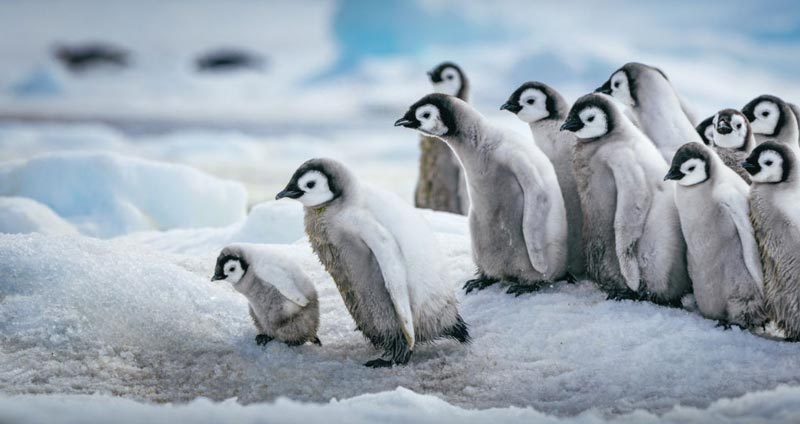 آیا افراد به طور ذاتی کاریزما ندارند