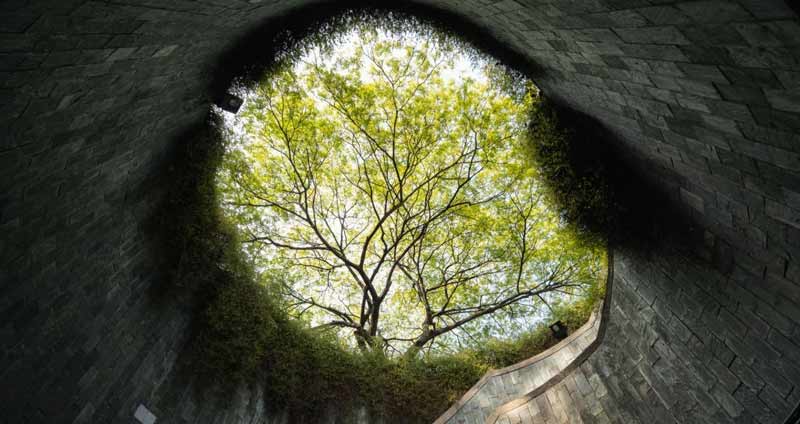 چگونه میتوان یک کمپین بازاریابی حمایتی یا سببی را تشکیل داد؟