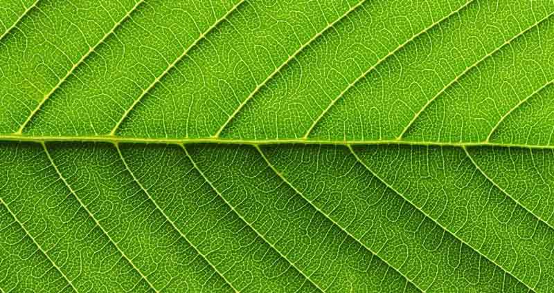 برای درمان خودشیفتگی به جزئیات توجه کنید