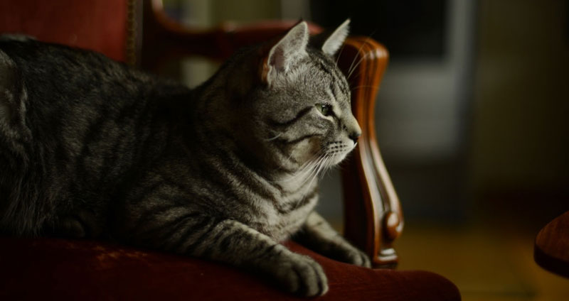 برقرارنکردن ارتباط حضوری