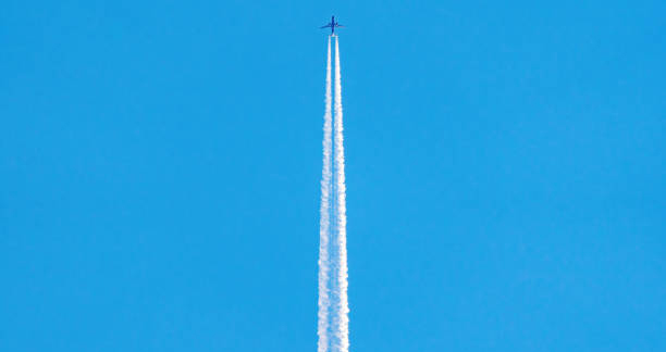 یک سیستم جامع استخدام برای شرکتهای در حال رشد