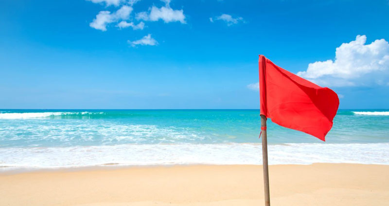 ۵ دلیل اهمیت بازخورد