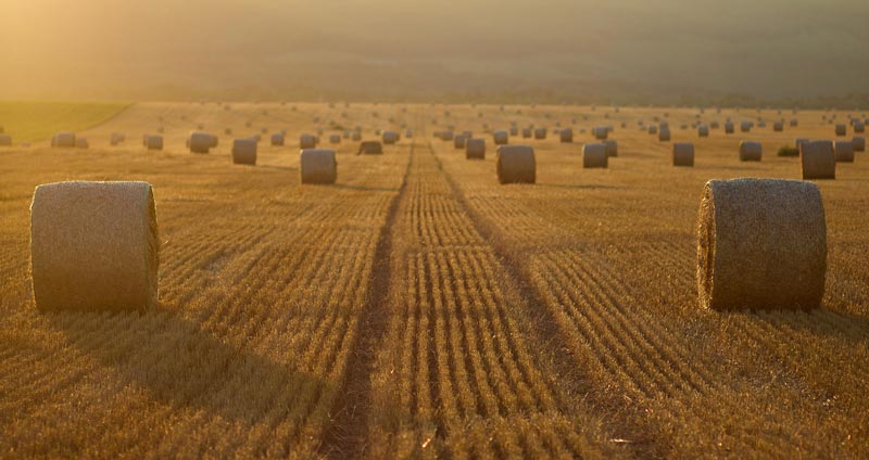 اصول مدیریت دانش