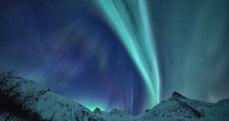 مزایای اجرای فرایند جهتگیری شغلی