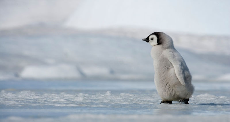 فقط شما میتوانید به این سؤال پاسخ بدهید