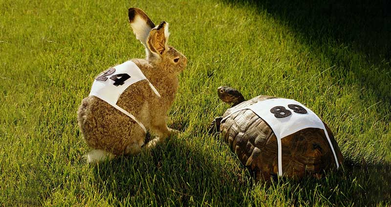 ایجاد رقابت ناسالم - مضرات مقایسه کارمندان