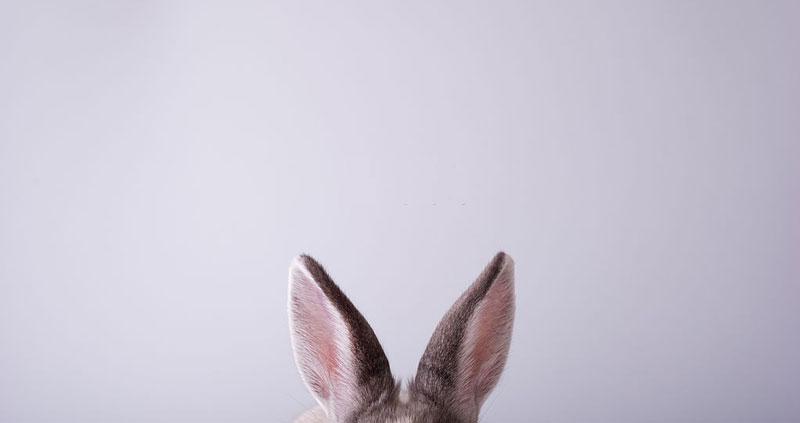 اما گوش دادن به ندای درونی نیز مهم است