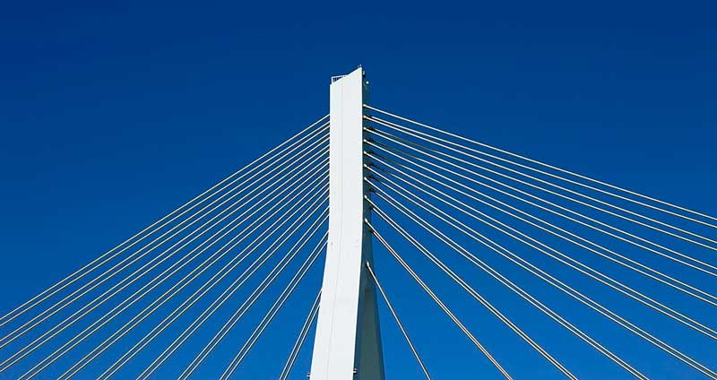 حمایت از اعضای تیم در روابط کاری